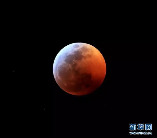 四、 谣言澄清：基于科学认知的理性审视