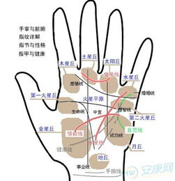 三、 先天与后天较小人纹形成机制及年龄分段作用于