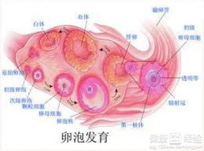 生活方式的调整
