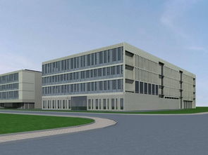 3. 门前树木及视线阻挡问题