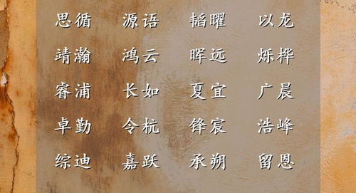 1. 从诗词中汲取灵感
