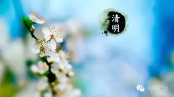 2. 发型禁忌：额头作为“神灯”的隐喻