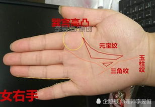 5. 中指修长：权力欲望与富贵追求的具象化