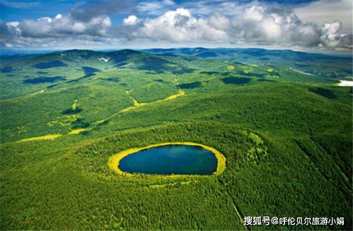 第二天：阿尔山国家森林公园——门票贵得我肉疼！