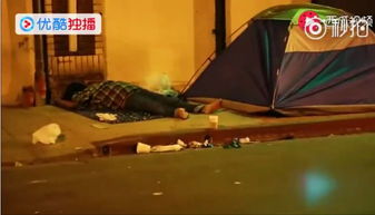 教师群体对创始人身份与行为动机之追溯