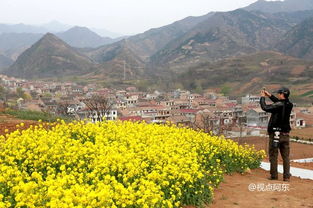 田园风光：回归本真的体验