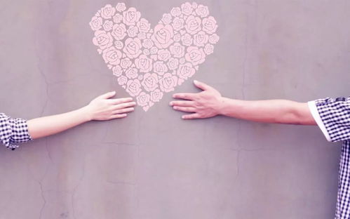 金牛座：反应慢得像树懒！