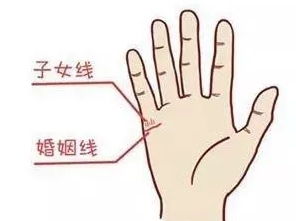 二、  手纹特征的生理学与病理学表征