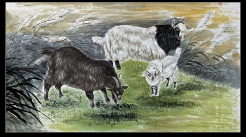 属羊的2026年感情运和人际运具体表现如何？