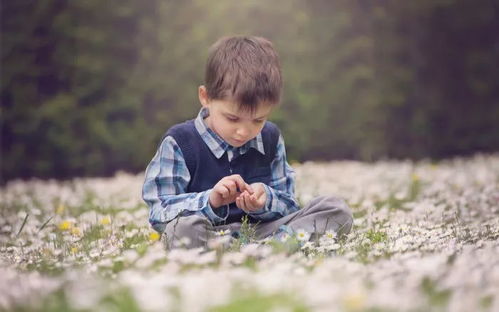 冬至出生的男孩取个吉祥的名字有哪些推荐？