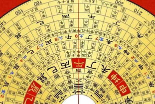 天数的内涵：向上发展的宇宙嫩量