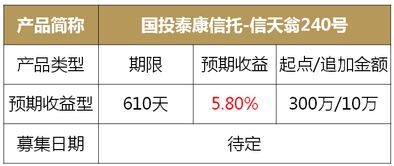个体化考量框架示例（按属相划分）