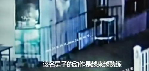 案例概述与探究动机