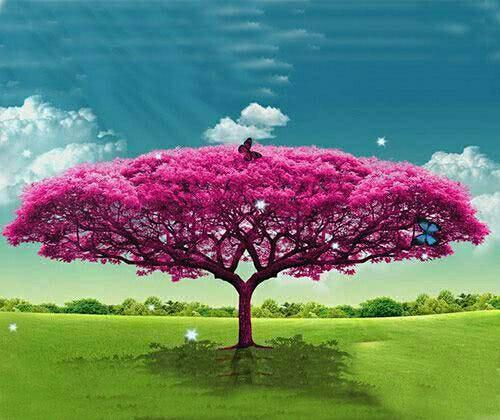 爱情与婚姻中的大树意象