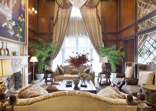 宽叶植物在客厅空间中的功能与象征意义