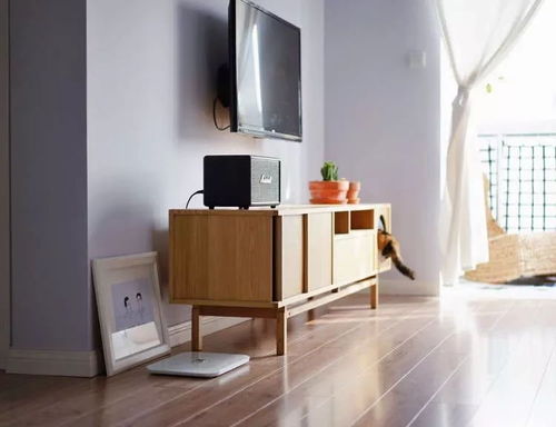 2. 戊己及特定地支导致的不利后果