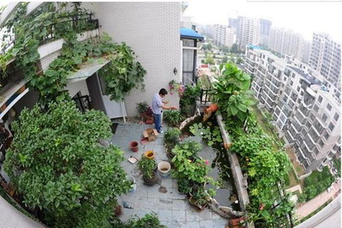 1. 荔枝之圆润象征