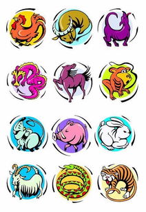 如何精确查询自己的十二生肖星座对应哪个星座？