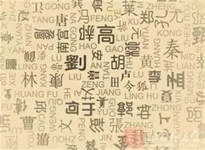 十年磨砺后的爆发：积蓄力量终见曙光