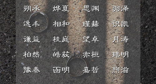 有没有寓意美好、五行属火的字，可依楚辞为火属性男孩名字呢？