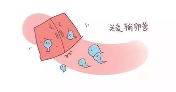 2. “手术刀的阴影”——盆腔手术