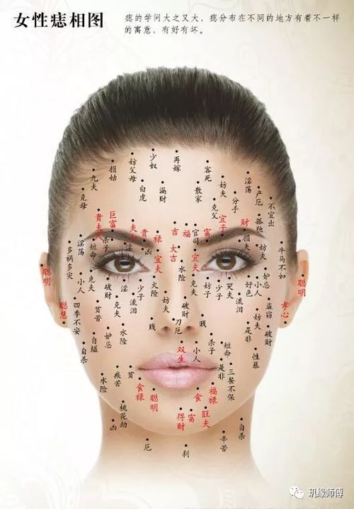 一、  人中部位的生理表征及其对婚姻忠诚度的隐喻