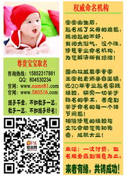 免费起名服务推荐
