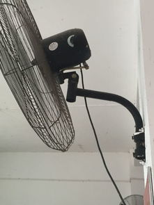一、  墙挂电扇的市场价格调研及影响因素