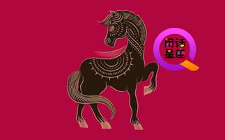 2026年，属马人真的会离婚吗？震惊！真相居然是这样...