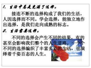 二、 品德培育与社会周边环境教育领域功能之权衡