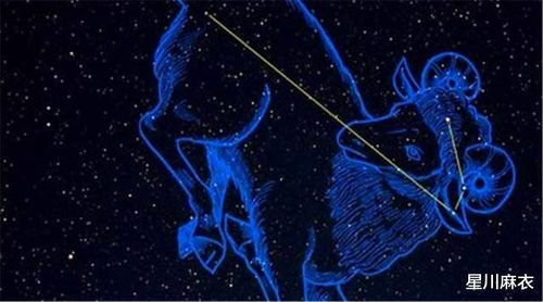 2. 2026年3月2日——行动之星的显现