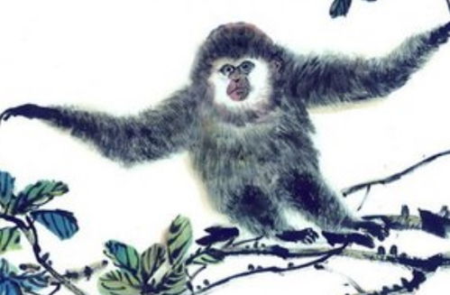 2026年属猴的人是否是那一年运势最旺，两喜缠身？