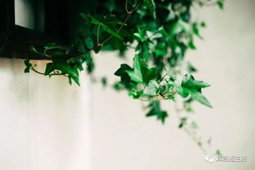 金牛座如何用独特方式宠爱自己的另一半？