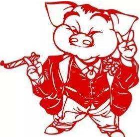 为什么属猪的男人不适合嫁？揭秘嫁属猪男的风险与原因