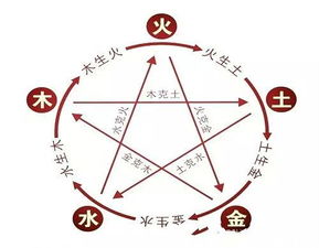 今日卦象解析：水地比与雷地豫的深层寓意