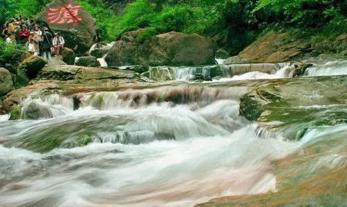 2026年门票价格大曝光