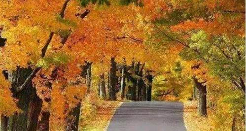 网红打卡到底好不好呢