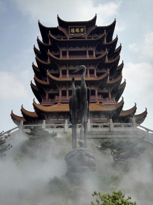 4. 避坑指南（血泪教训！）