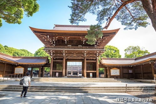 第三步：探访神社本身—如何避开人潮与保持敬意？