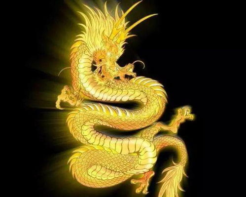 2026年属龙本命年可以佩戴黄金吗？属龙2026年本命年有哪些禁忌含义？