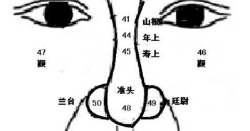 一、 印堂与山根之间的过渡地带