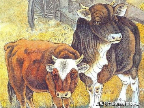 啊啊啊！73年牛女2025年运势大揭秘！看完直接裂开！