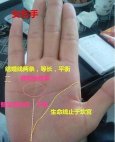 伴随纹路的综合分析：花心与风流之辨