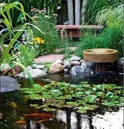 别墅池塘菜园的风水讲究有哪些？