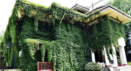 4. 卧室及潮湿场所禁置