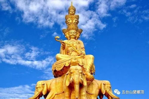 属蛇人的本命佛普贤菩萨手机号旺贵人，在哪里可以更改？