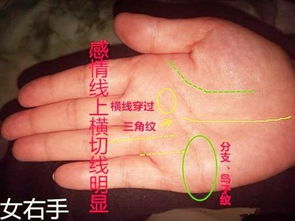 岛纹与感情线的负面指示