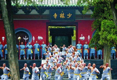 4. 登封少林寺：功夫梦开始的地方？！