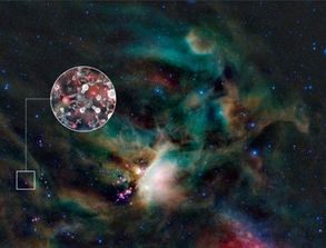 展开科学 家发现一颗 超级 地球 可能存在类地生命#天文 #天文奇观 播放2万发布于2025-06-03 11:54 209 36 41 分享 转发到头条 复制链接 微信 新浪微博 QQ空间 不感兴趣 举报 下载今日头条APP扫码下载今日头条APP 看最新、最热资讯内容 推荐视频 02:15 女子吵架当街脱衣威胁男友,太狼狈了…全网心疼!7.4万播放 静书雅意02:12 终于有清...