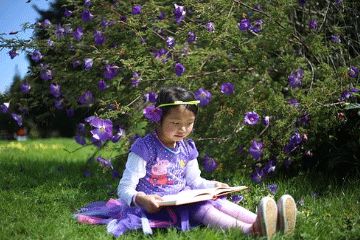 以字形为名的视觉美感